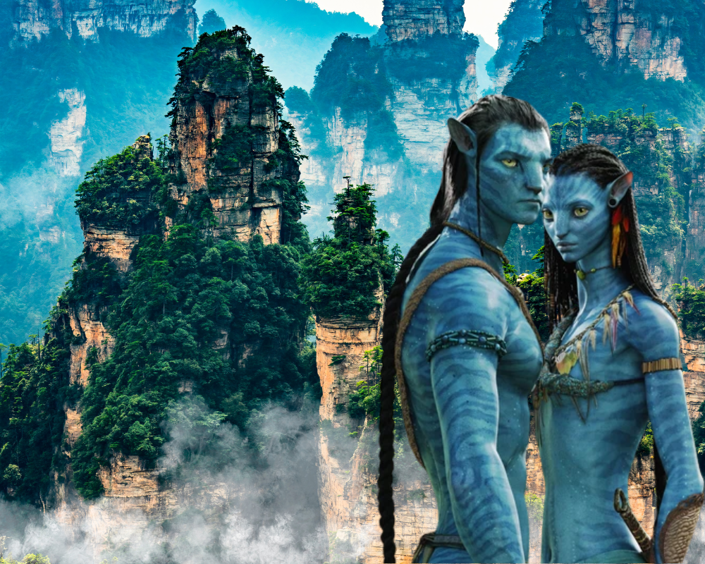 SAIGON ALL IN, HANOI ALL IN